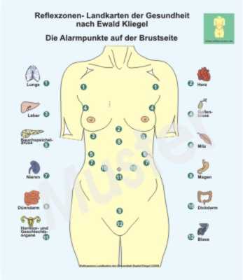 Die Alarmpunkte auf der Brustseite