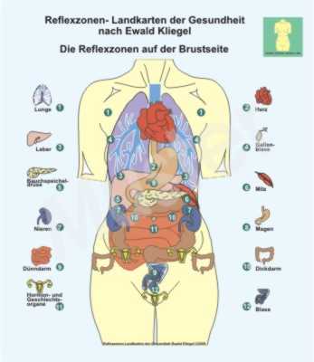Reflexzonen auf der Brustseite