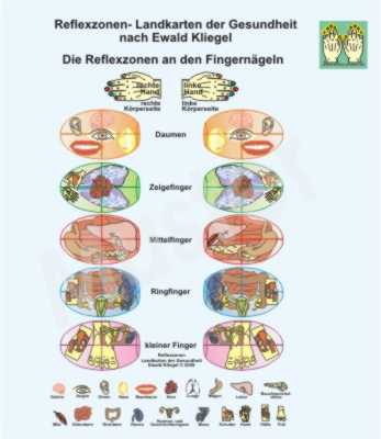 Reflexzonen an den Fingern&auml;geln