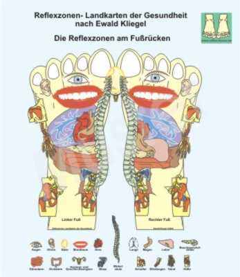 Reflexzonen an den F&uuml;&szlig;en (Fu&szlig;r&uuml;cken)