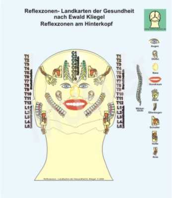 Reflexzonen am Hinterkopf