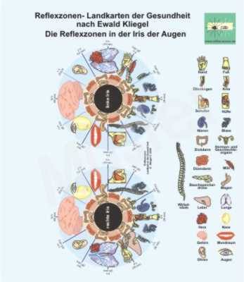 Reflexzonen in der Iris der Augen