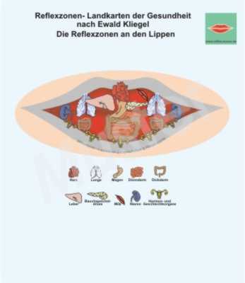 Reflexzonen an den Lippen