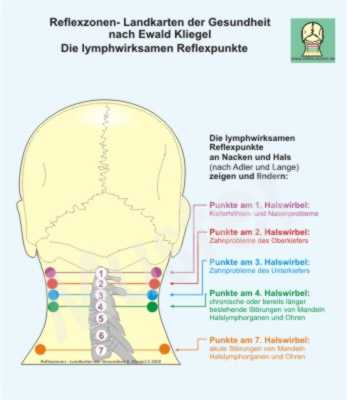 Die lymphwirksamen Reflexpunkte am Hals