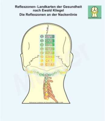 Reflexzonen an der Nackenlinie