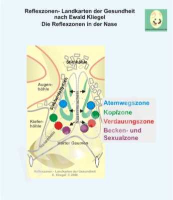 Reflexzonen in der Nase