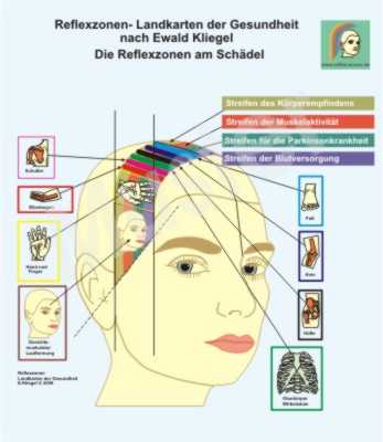 Reflexzonen am Sch&auml;del