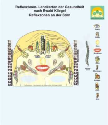 Reflexzonen an der Stirn