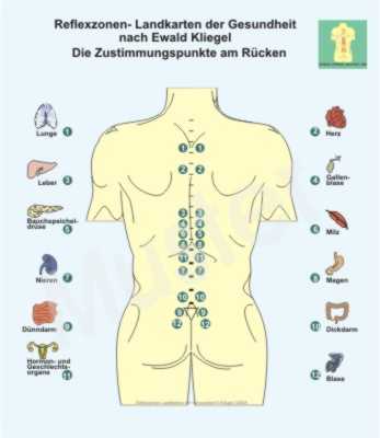 Zustimmungspunkte am R&uuml;cken