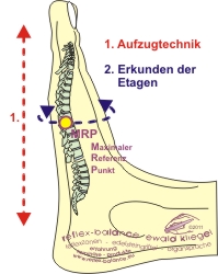 Aufzugtechnik - Fuß-Reflexzonen