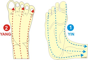 Reflexzonen Massage Yin-Yang - Streichungen