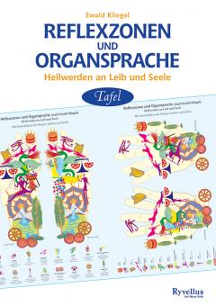 Reflexzonen und Organsprache - die anschauliche Tafel von Ewald Kliegel zu den Gute Nacht Geschichten mit den Organen