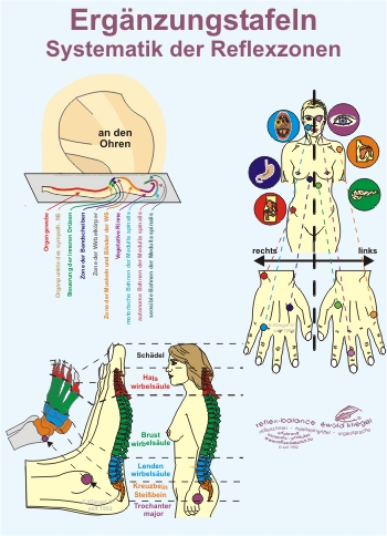 Systematik der Reflexzonen