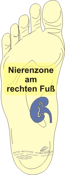 Reflexzonen Nierenzone am rechten Fuß