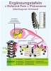 Reflexzonen Ergänzungstafeln - « Referred Pain » Phänomene
