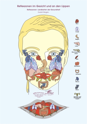 Reflexzonen im Gesicht