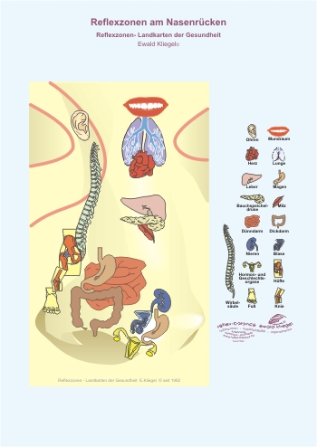 Reflexzonen am Nasenrücken