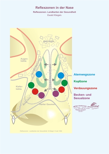 Reflexzonen in der Nase