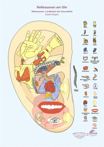 Reflexzonen am Ohr