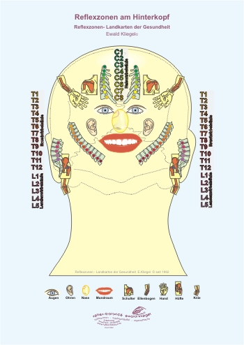Reflexzonen am Hinterkopf