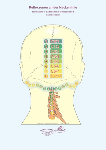Reflexzonen an der Nackenlinie
