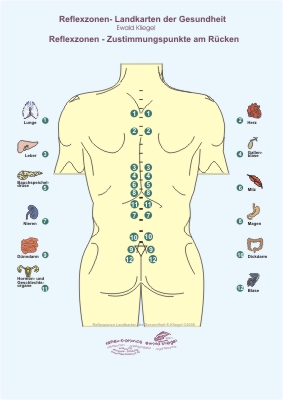 Reflexzonen - die Zustimmungspunkte am Rücken