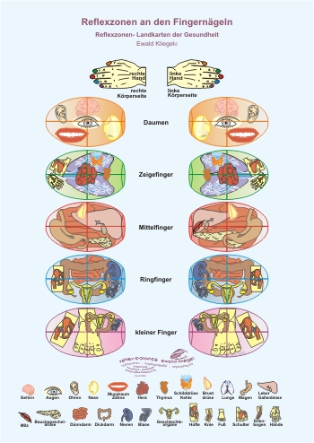 Reflexzonen an den Fingernägeln