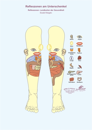 Reflexzonen am Unterschenkel