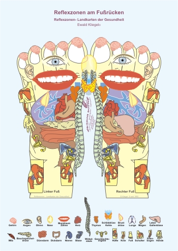 Reflexzonen am Fuß-Rücken