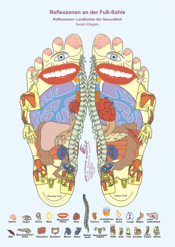Reflexzonen an der Fuß-Sohle