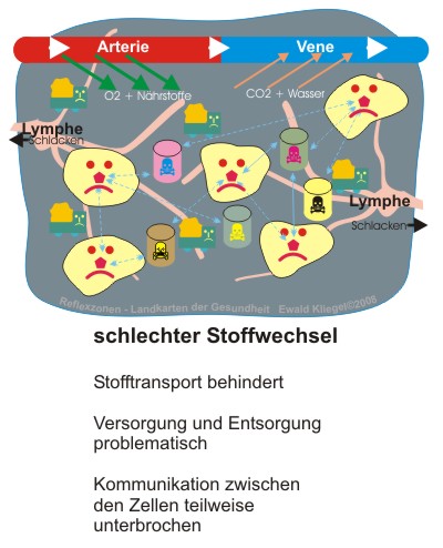 Schlechter Stoffwechsel