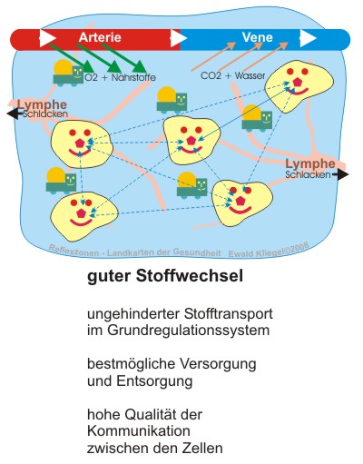 Guter Stoffwechsel